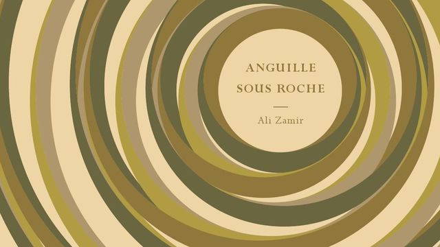 anguille-sous-roche-par-ali-zamir-le-tripode-320p-19eu_5708615